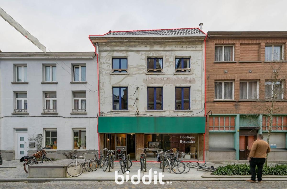 Presentatiebeeld van het pand n° 295710