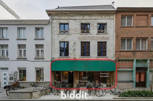 Presentatiebeeld van het pand n° 295710