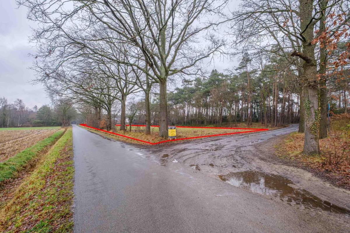 Presentatiebeeld van het pand n° 292301