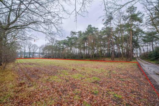 Derde alternatieve foto van het pand