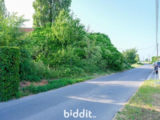 Tweede alternatieve foto van het pand