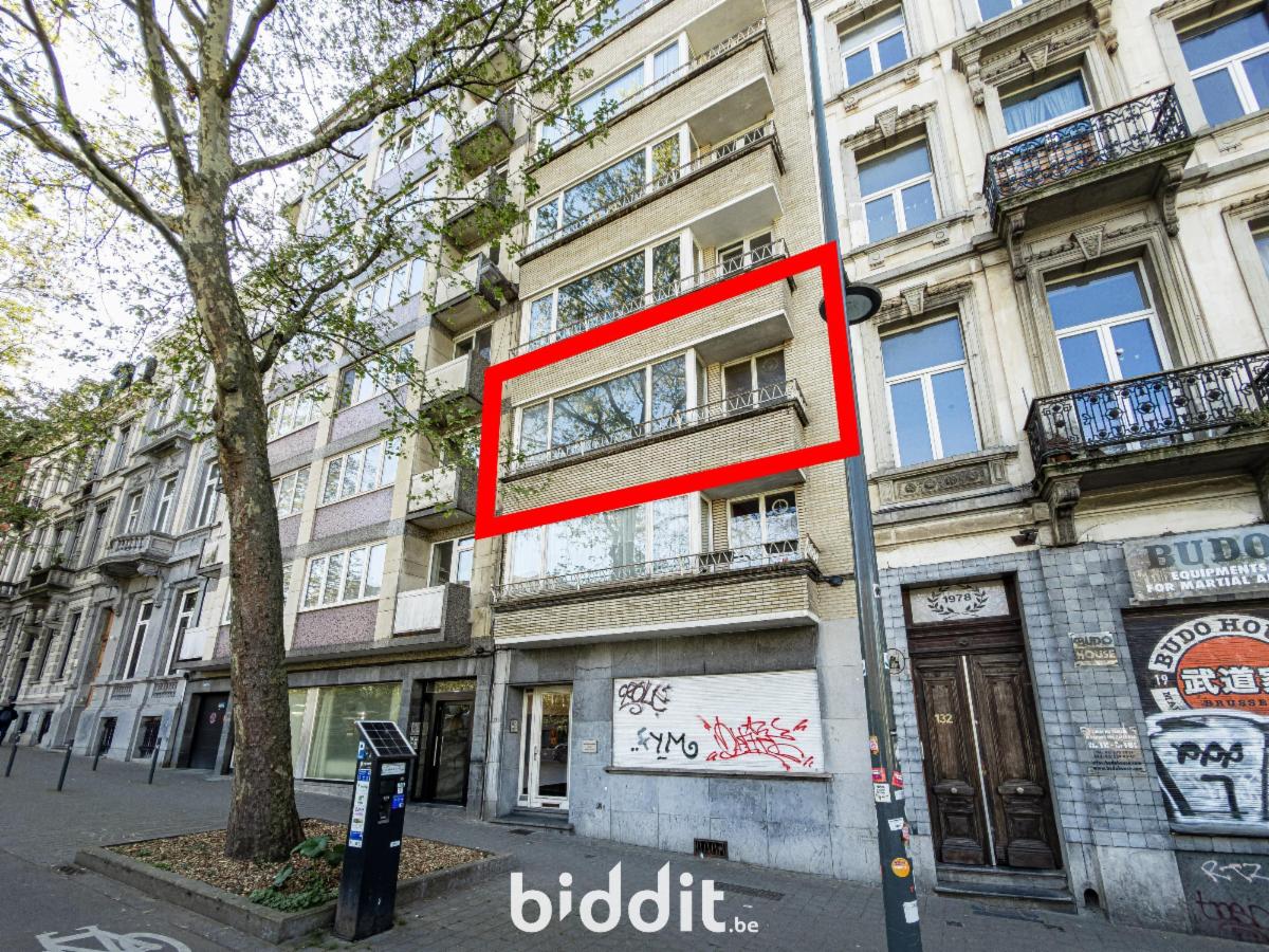 Presentatiebeeld van het pand n° 295260