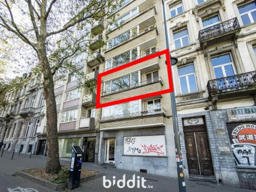 Presentatiebeeld van het pand n° 295260
