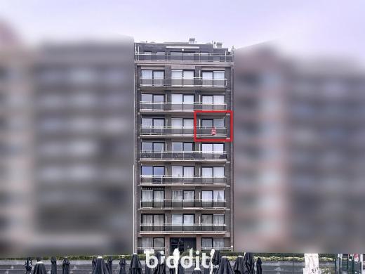 Presentatiebeeld van het pand n° 289218