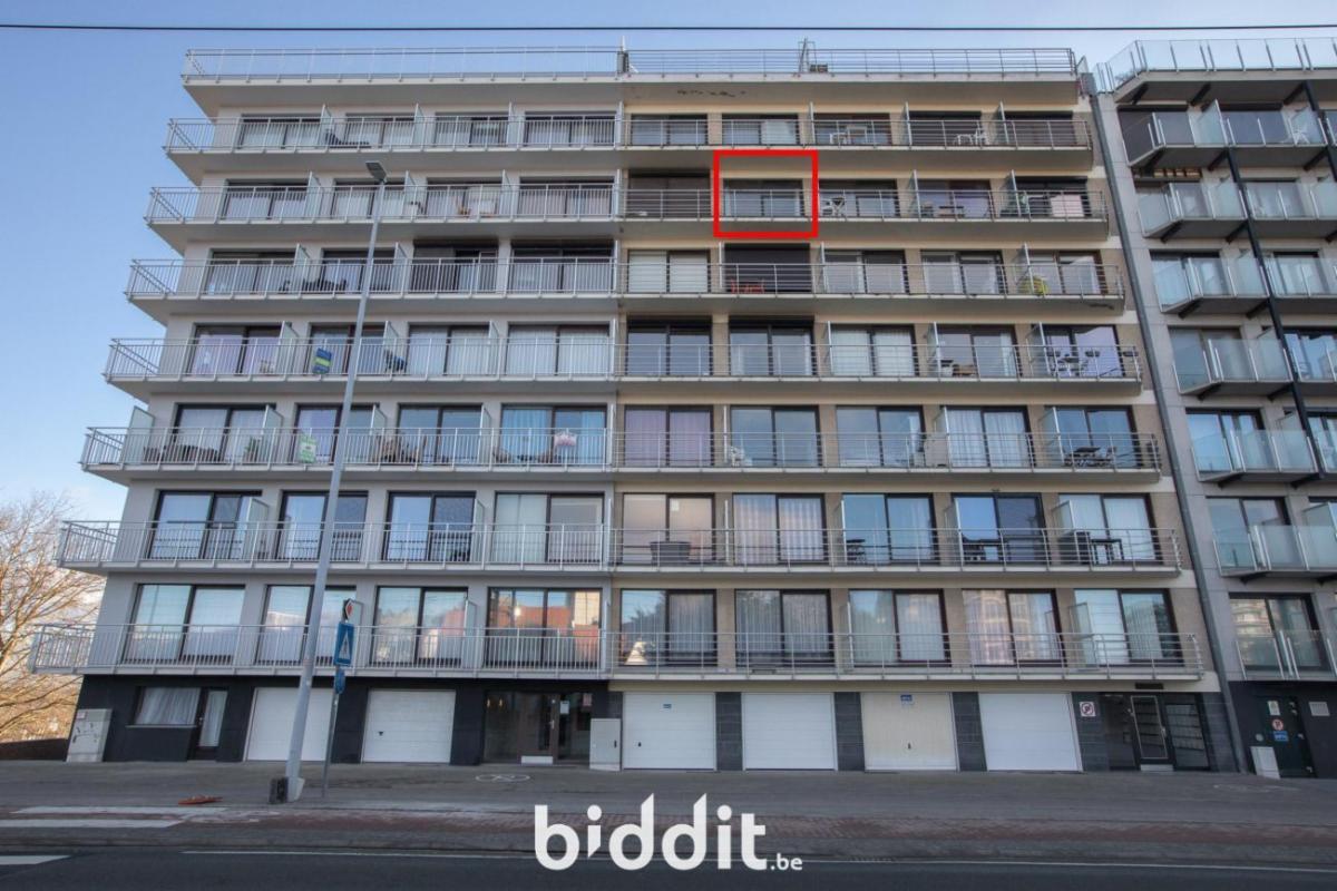 Presentatiebeeld van het pand n° 291066