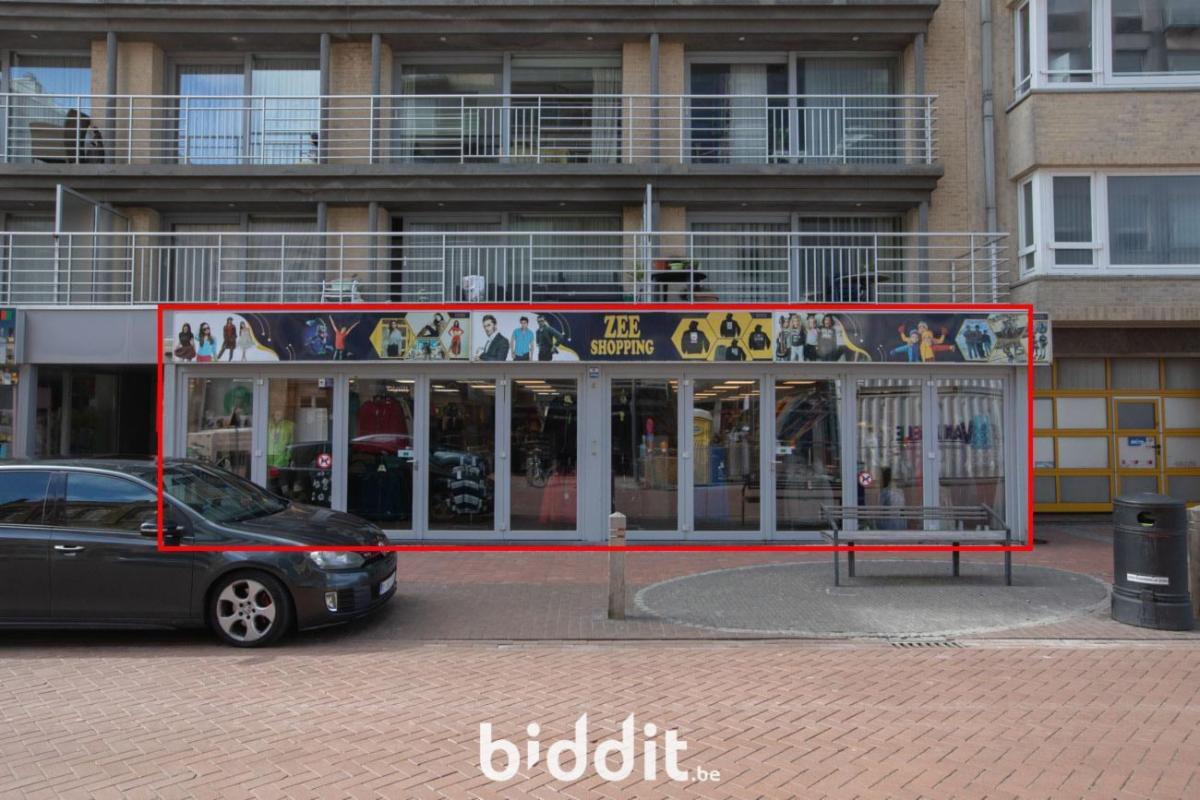 Presentatiebeeld van het pand n° 296672