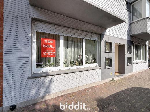 Presentatiebeeld van het pand n° 298409