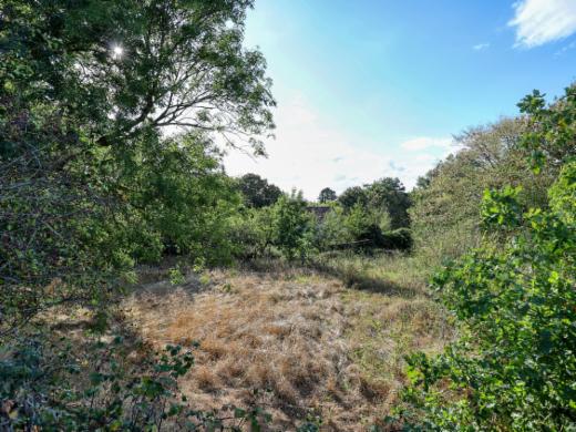 Derde alternatieve foto van het pand