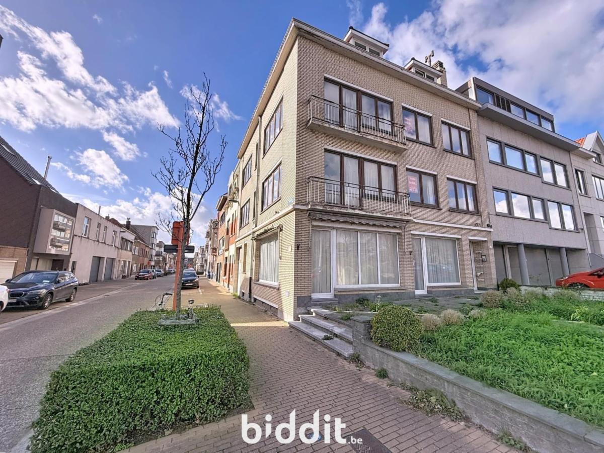 Presentatiebeeld van het pand n° 294484