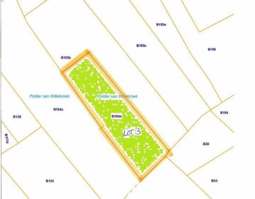 Eerste alternatieve foto van het pand