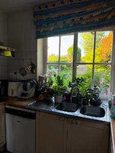 Tweede alternatieve foto van het pand