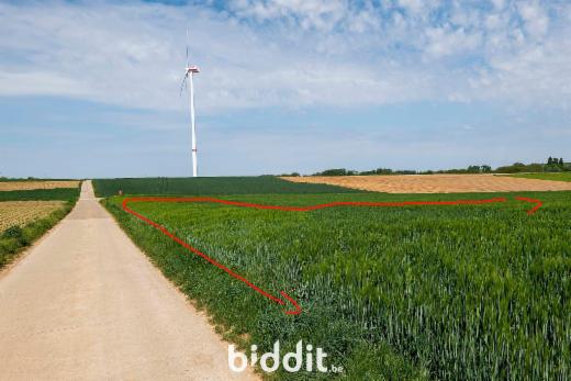 Derde alternatieve foto van het pand