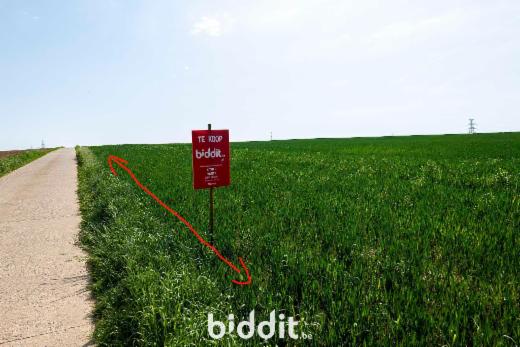Derde alternatieve foto van het pand