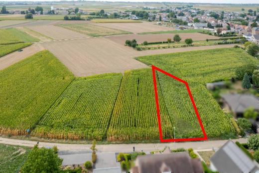 Presentatiebeeld van het pand n° 302154
