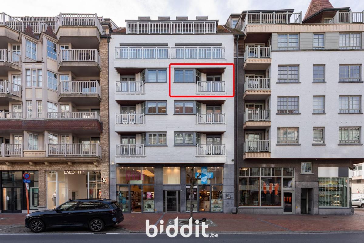 Presentatiebeeld van het pand n° 295943