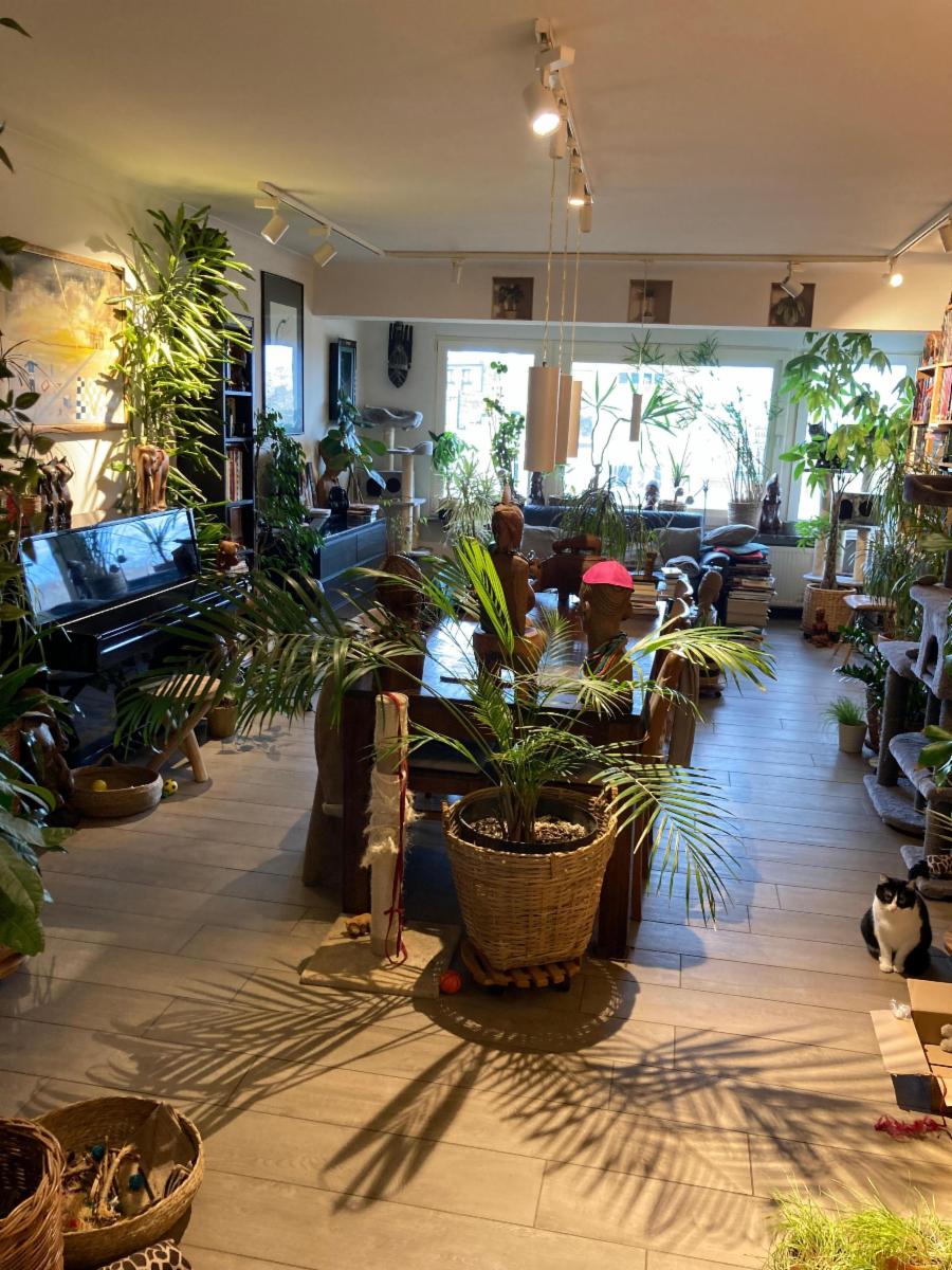 Presentatiebeeld van het pand n° 291852