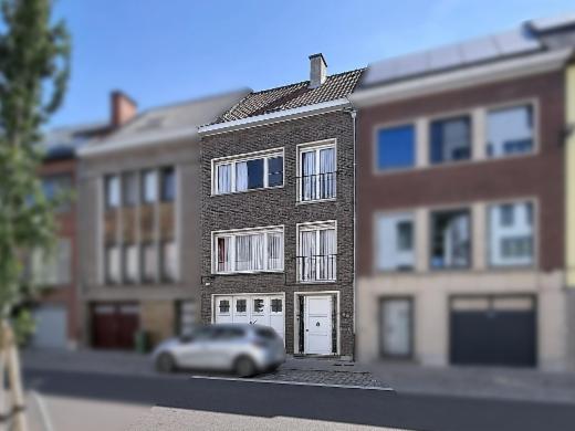 Presentatiebeeld van het pand n° 302236