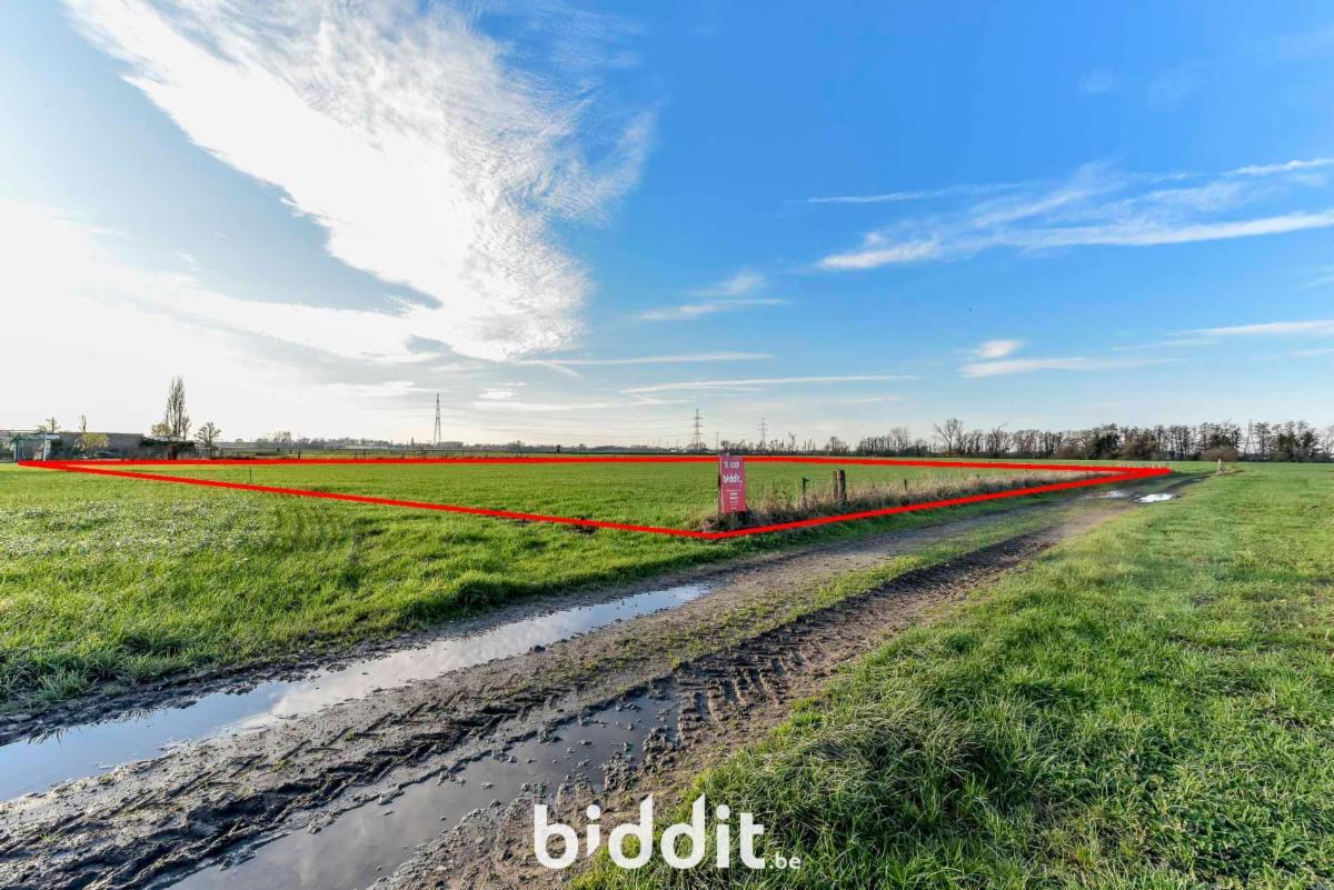 Presentatiebeeld van het pand n° 291237