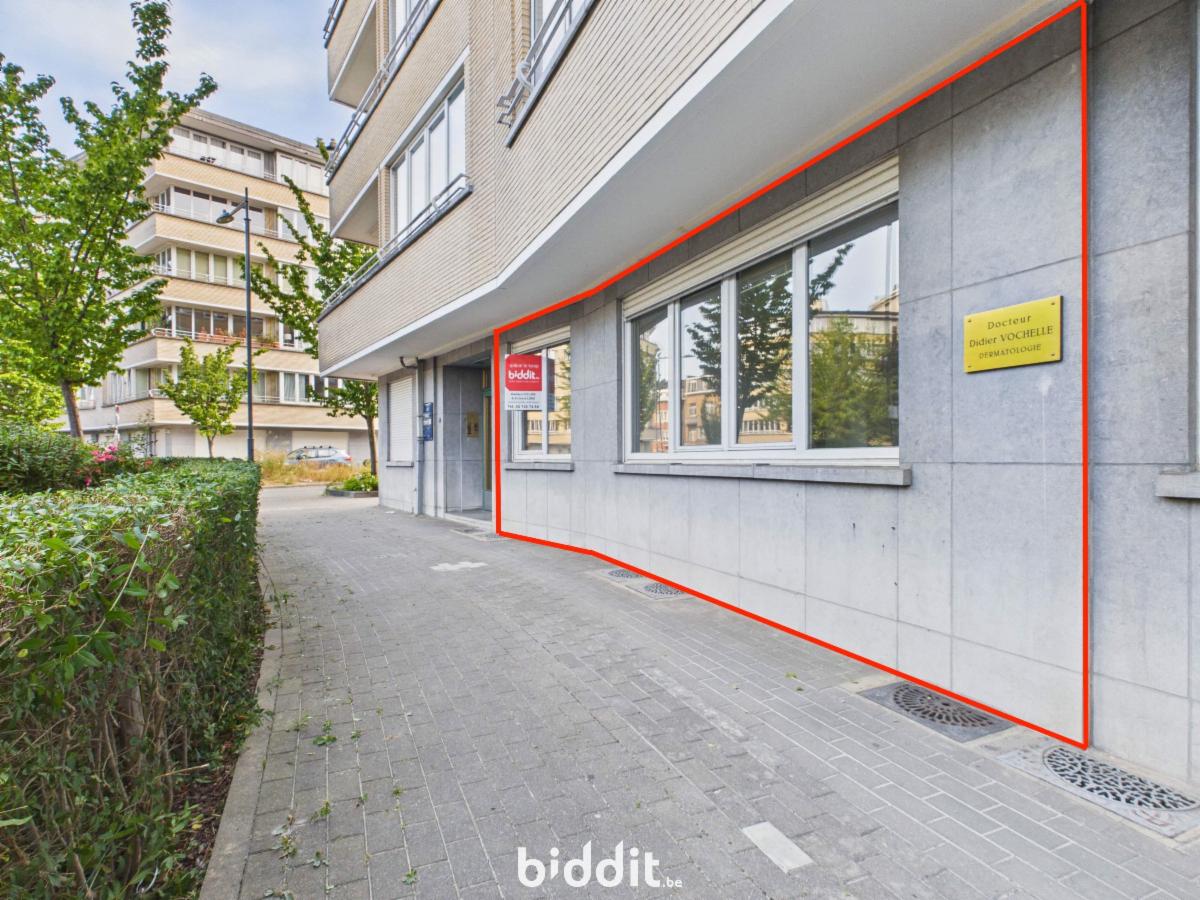 Presentatiebeeld van het pand n° 299151
