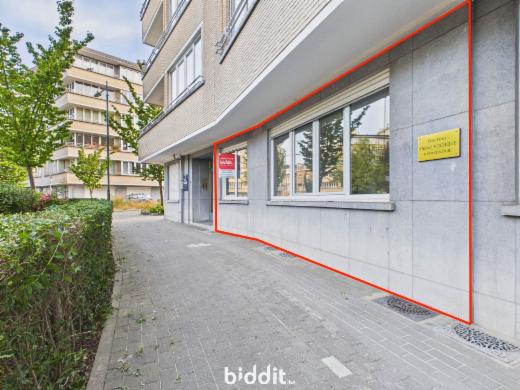 Presentatiebeeld van het pand n° 299151