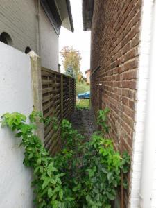 Eerste alternatieve foto van het pand