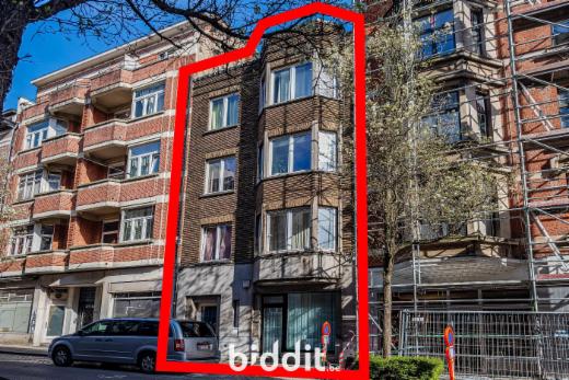 Presentatiebeeld van het pand n° 294449