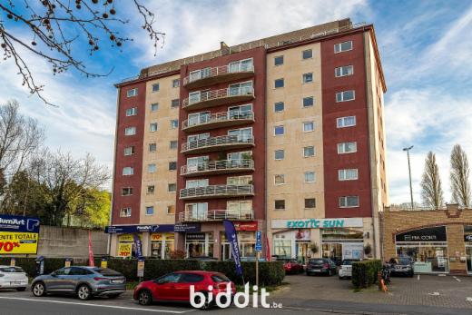 Presentatiebeeld van het pand n° 294706