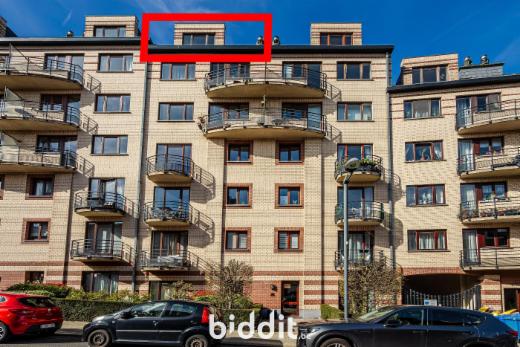 Presentatiebeeld van het pand n° 295429