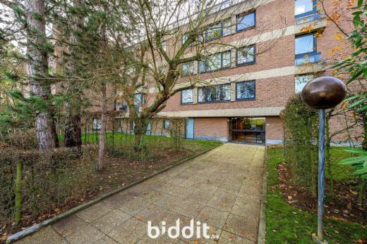 Presentatiebeeld van het pand n° 296271