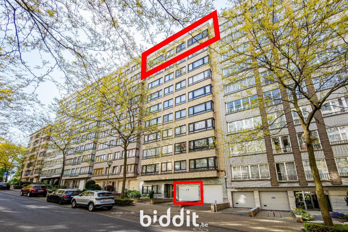 Presentatiebeeld van het pand n° 296893