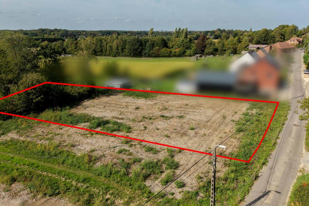 Presentatiebeeld van het pand n° 302388