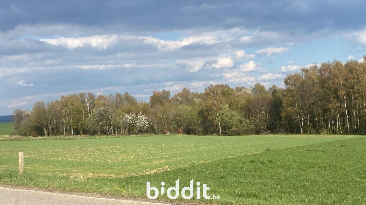 Presentatiebeeld van het pand n° 295380