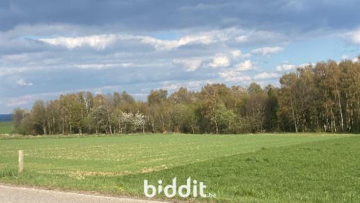 Presentatiebeeld van het pand n° 295380