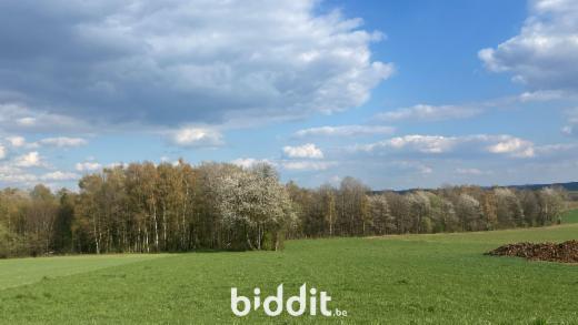 Eerste alternatieve foto van het pand