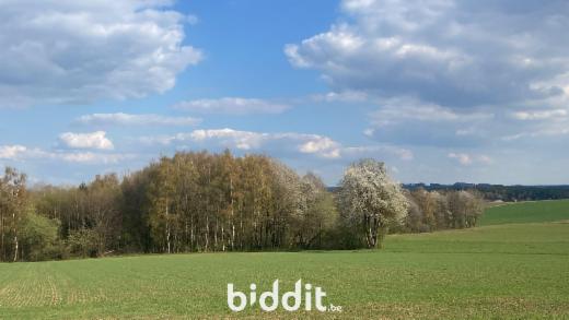 Tweede alternatieve foto van het pand