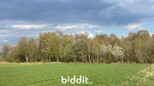 Derde alternatieve foto van het pand