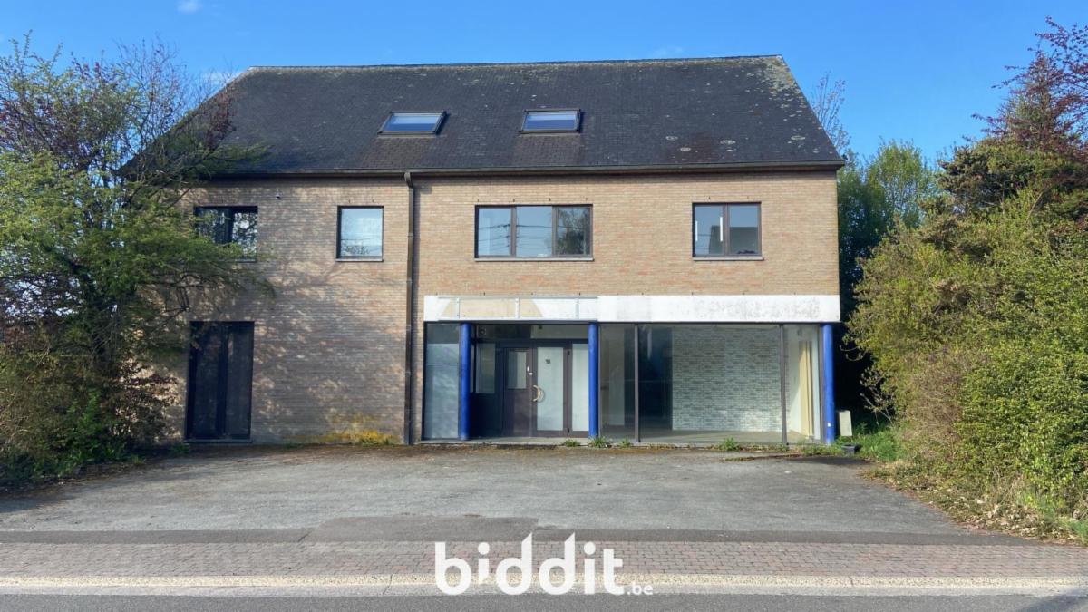 Presentatiebeeld van het pand n° 295538