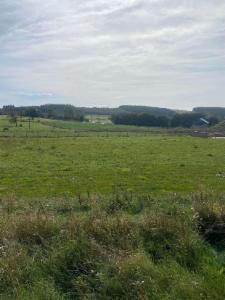 Presentatiebeeld van het pand n° 301901