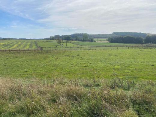 Tweede alternatieve foto van het pand