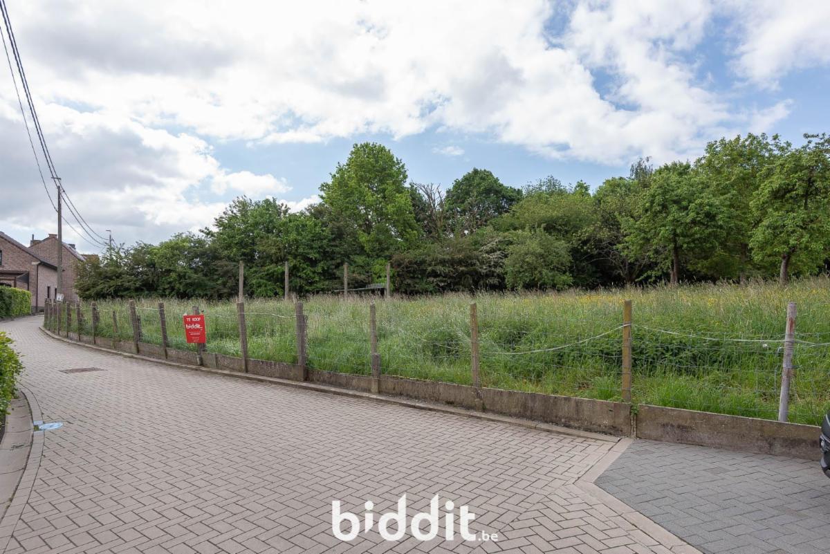 Presentatiebeeld van het pand n° 296205