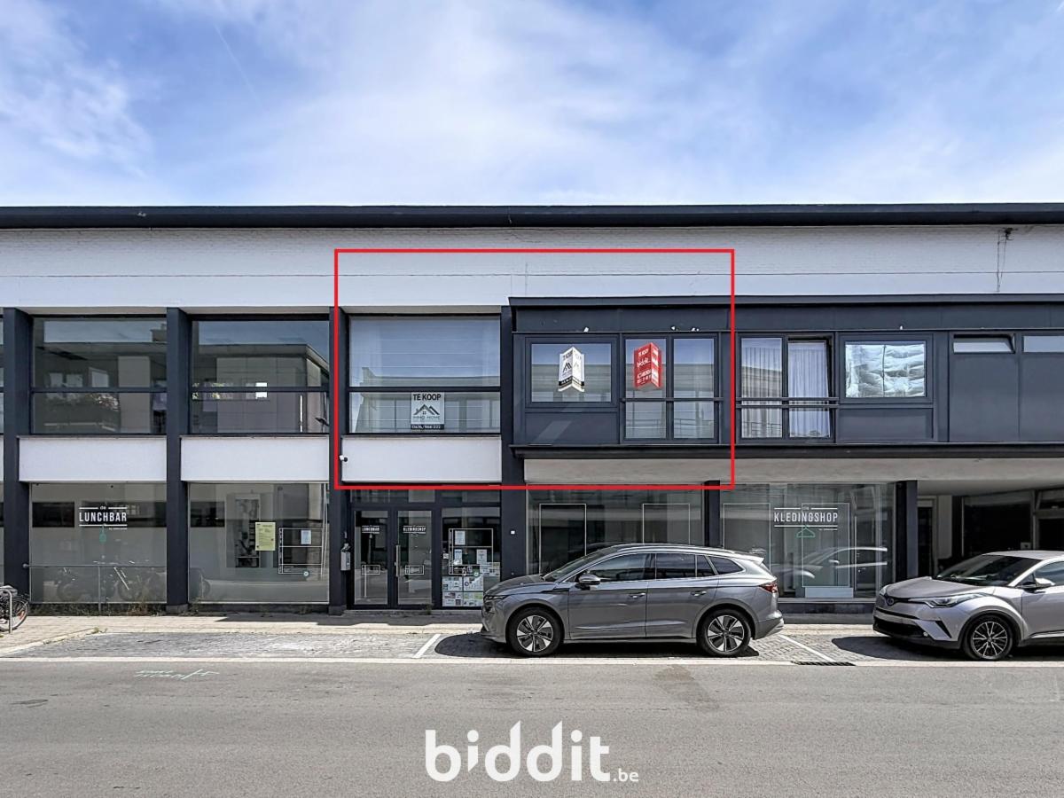 Presentatiebeeld van het pand n° 299332