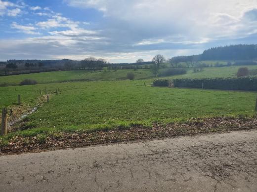 Derde alternatieve foto van het pand