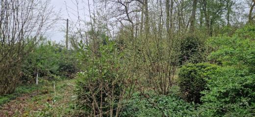 Derde alternatieve foto van het pand