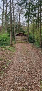 Tweede alternatieve foto van het pand