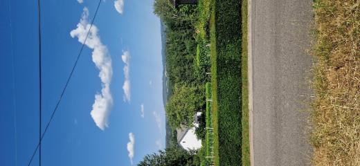 Tweede alternatieve foto van het pand