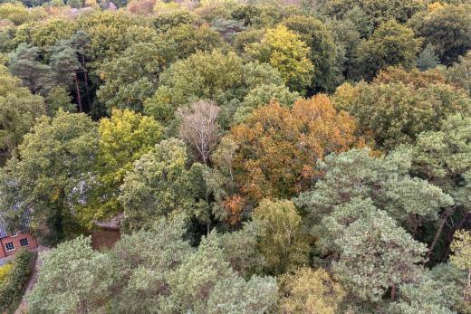 Derde alternatieve foto van het pand