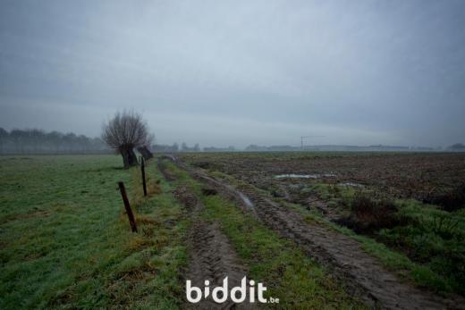 Tweede alternatieve foto van het pand