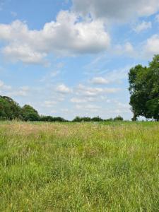 Presentatiebeeld van het pand n° 284474