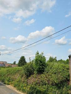 Tweede alternatieve foto van het pand