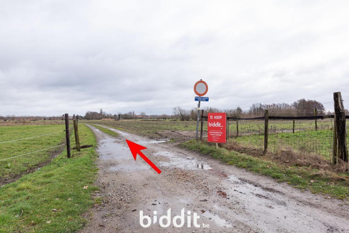 Presentatiebeeld van het pand n° 292669